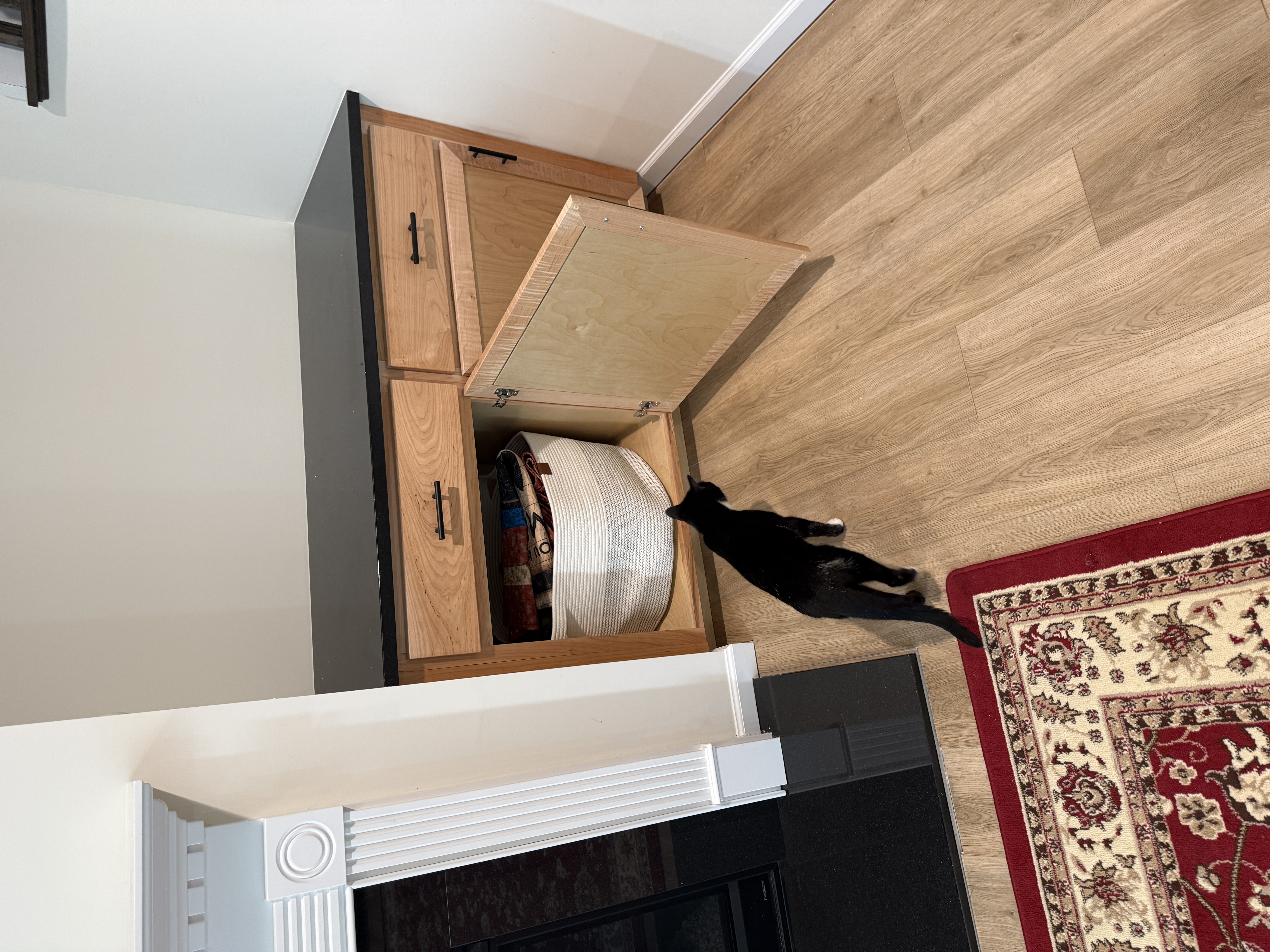 Open fireplace cabinet showing generous concealed storage